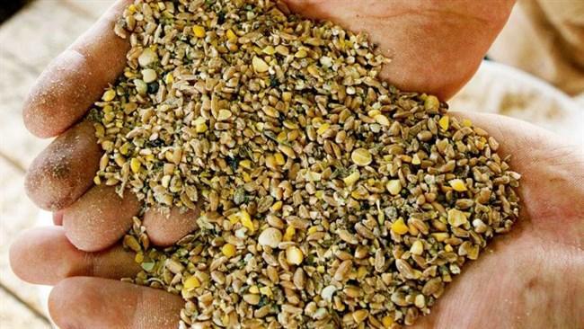 کاهش 7 درصدی ارزش واردات نهاده های دام و طیور کاهش 7 درصدی ارزش واردات نهاده های دام و طیور