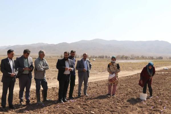 بازدید میدانی فرماندار از محل برگزاری جشنواره زعفران دشتخاک