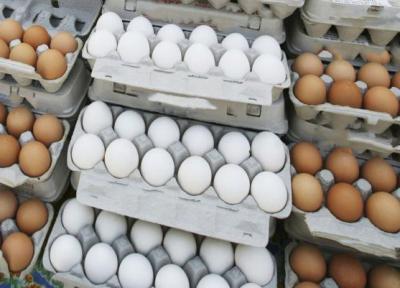 قیمت تخم مرغ در میادین و بازار ، هر شانه تخم مرغ چند؟