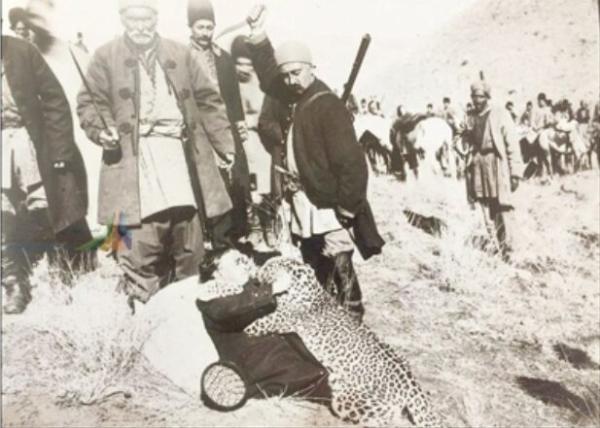 عکس های واقعی و کمتر دیده شده از شکار پلنگ به وسیله مظفرالدین شاه و ناصرالدین شاه در تهران ، باغ وحش سلطان صاحبقران را ببینید