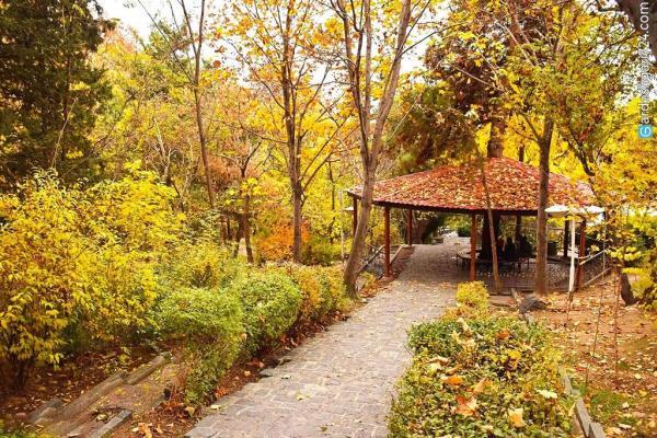 پارک جنگلی 500 هکتاری در منطقه 20 تهران افتتاح می شود پارک جنگلی 500 هکتاری در منطقه 20 تهران افتتاح می گردد