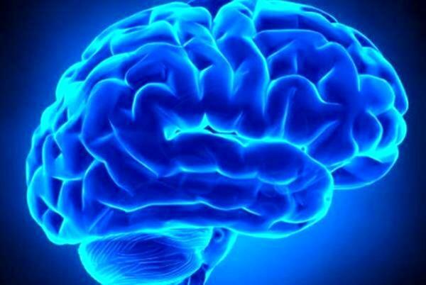 نتایج جالب یک تحقیق درباره سکته مغزی؛ این گروه مراقب باشند
