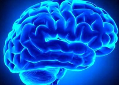 نتایج جالب یک تحقیق درباره سکته مغزی؛ این گروه مراقب باشند
